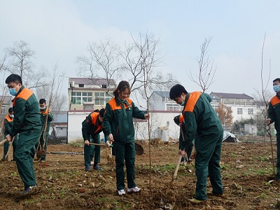 “植树共建 绿色村庄”|安徽五爱电力建设有限公司